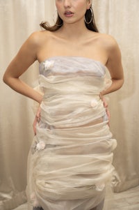 a woman is posing in a dress made of tulle